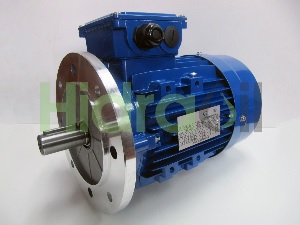 motor eléctrico para sistema hidráulico