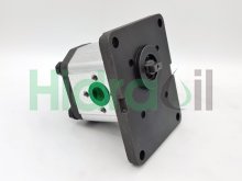 Imagen 1L35DB24B Roquet bomba hidráulica de engranajes 23.3 cc/rev con eje fresado