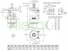 Thumbnail of 11185775 OMP X 32 Sauer Danfoss motor hidráulico orbital 32 cc/rev con eje cilíndrico 25 mm de diámetro