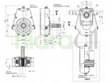 Thumbnail of 70015-5 Hidraoil multiplicador fundición hembra rápida relación 1:3.5 hasta 37 kW para bomba hidráulica del grupo 2 y 3